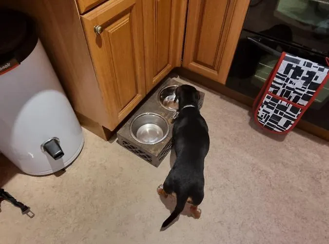 Endeavour - A Wonderful Уитби