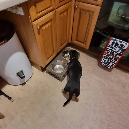 Endeavour - A Wonderful Whitby